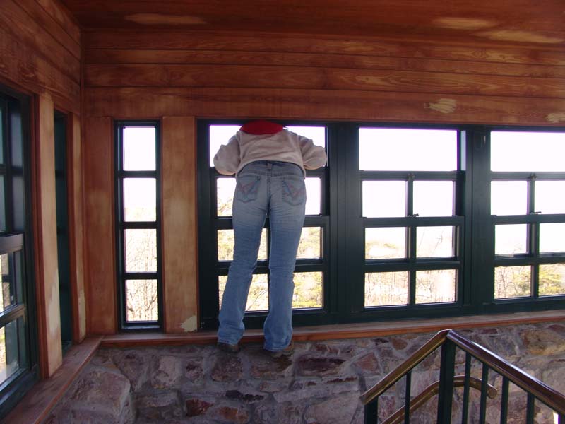 Cheaha Feb 008