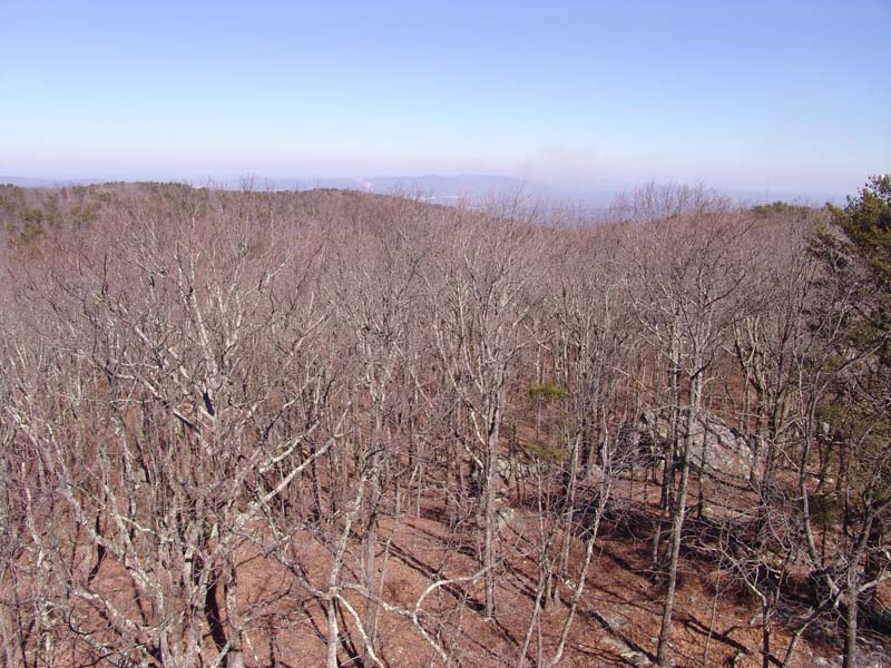 Cheaha Feb 009