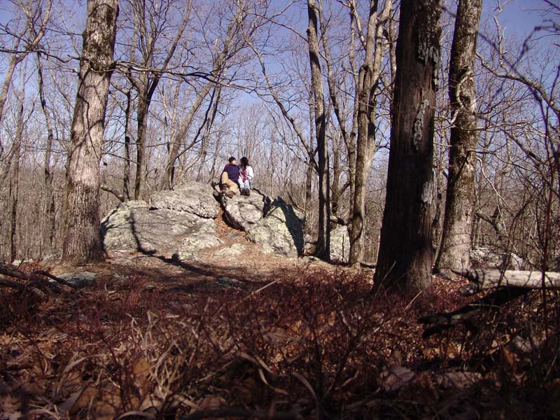 Cheaha Feb 014