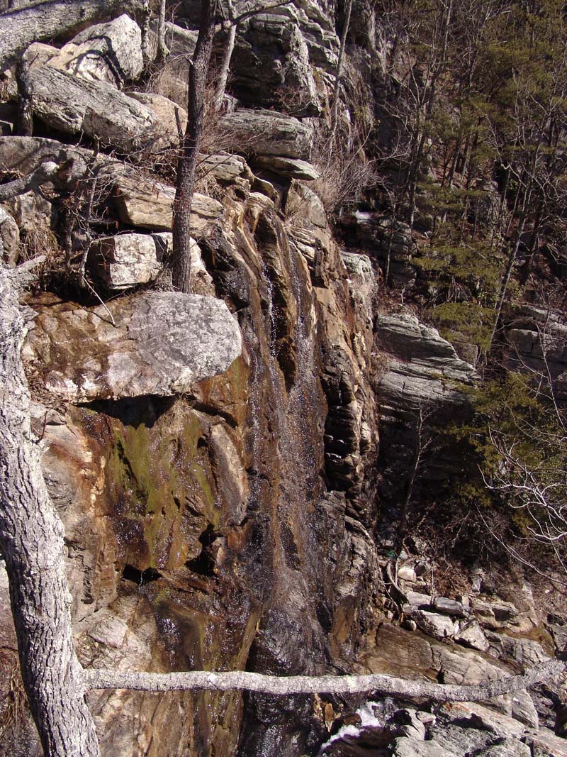 Cheaha Feb 018