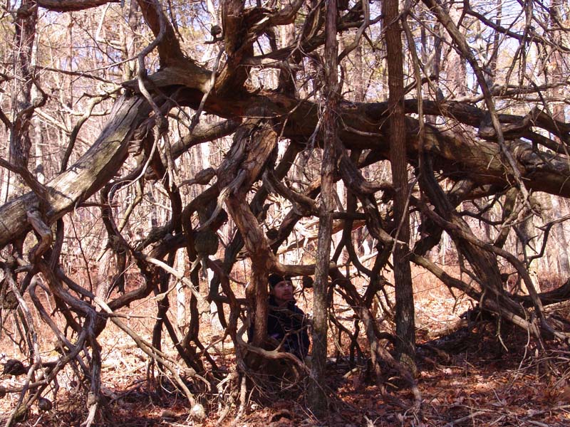 Cheaha Feb 025