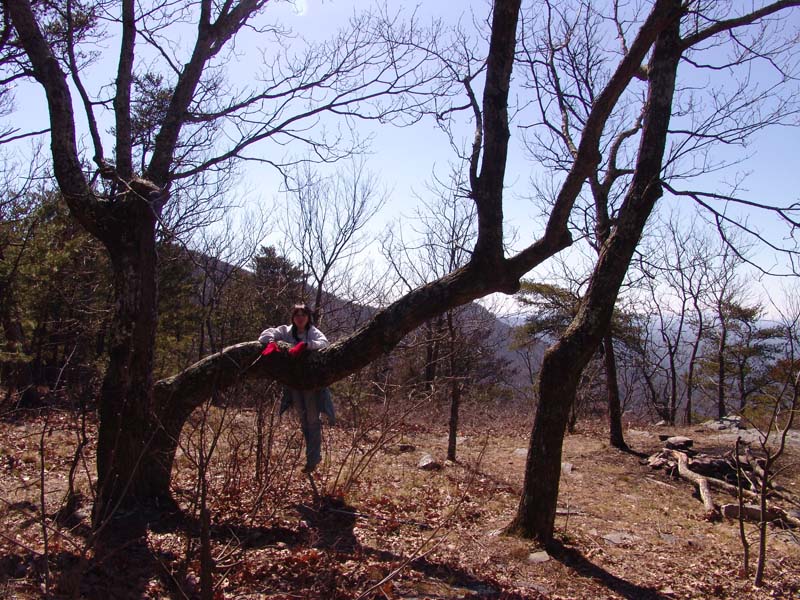 Cheaha Feb 029