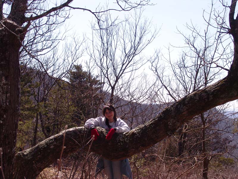 Cheaha Feb 030