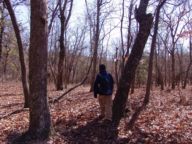 Cheaha Feb 034