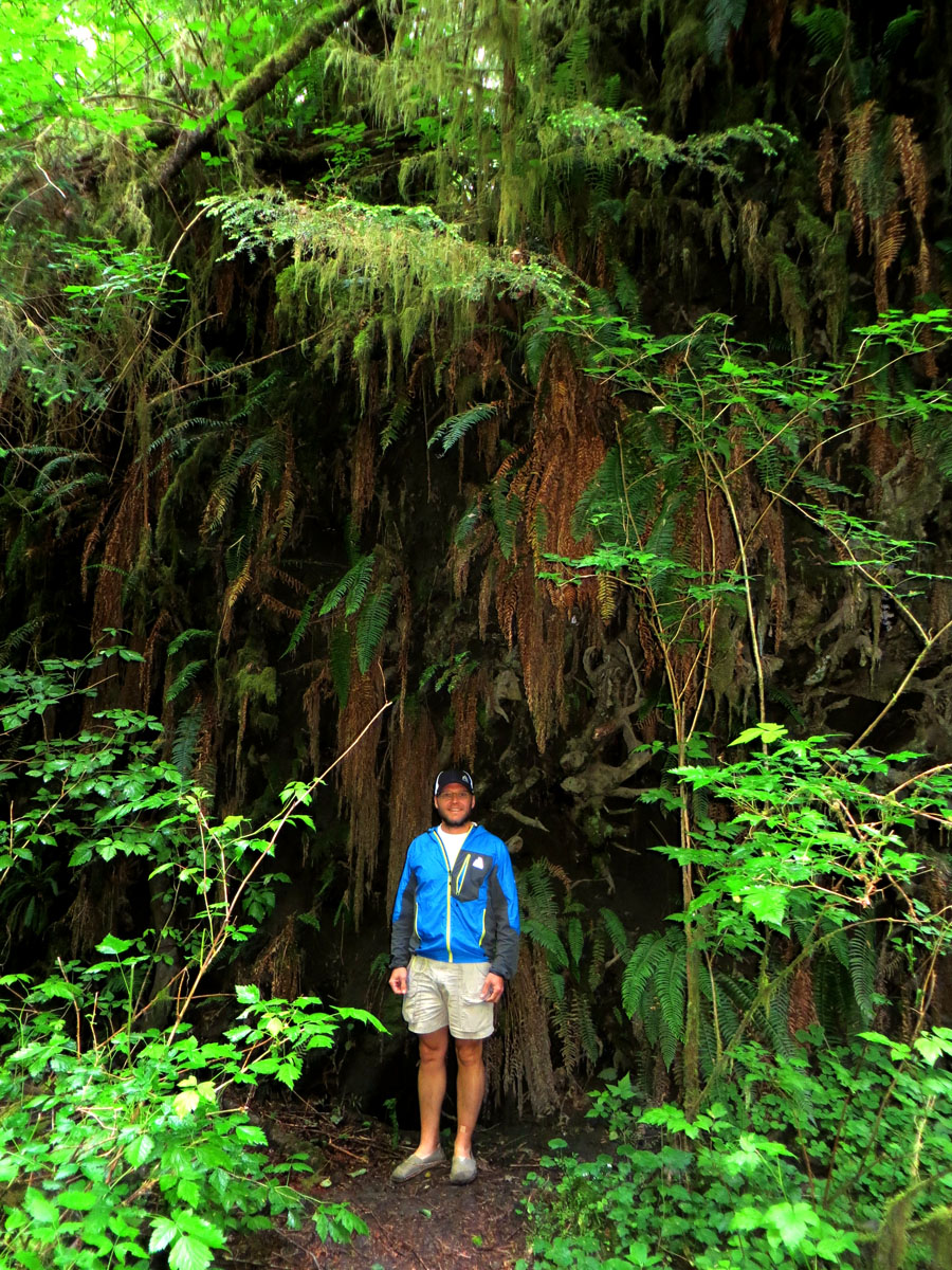 Mount Rainier 2012 288