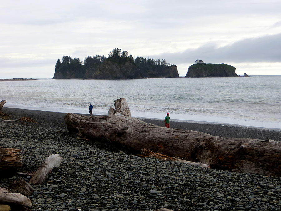 Mount Rainier 2012 305