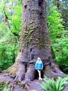 Mount Rainier 2012 271