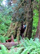 Mount Rainier 2012 275