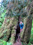 Mount Rainier 2012 277