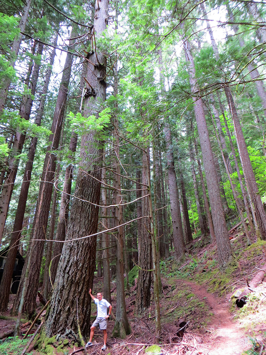 Mount Rainier 2012 031