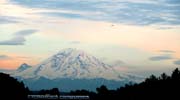 Mount Rainier 2012 016