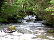 Mount Rainier 2012 034