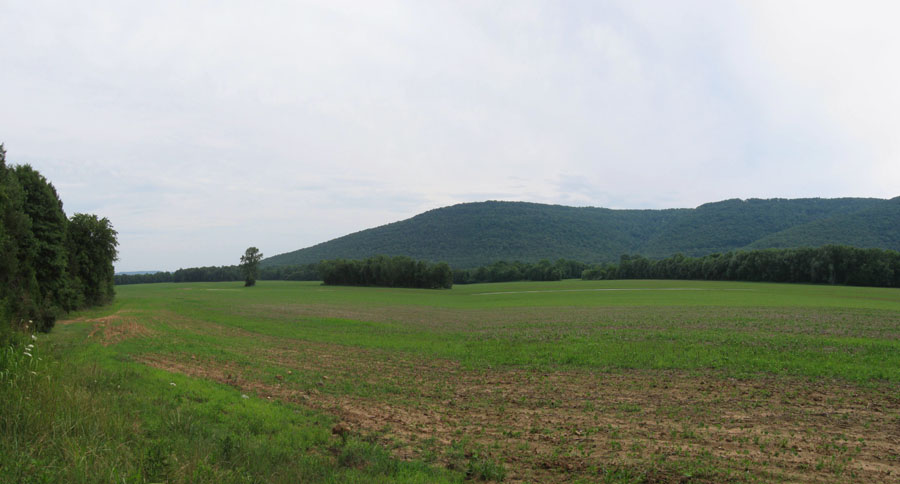 Panorama 72